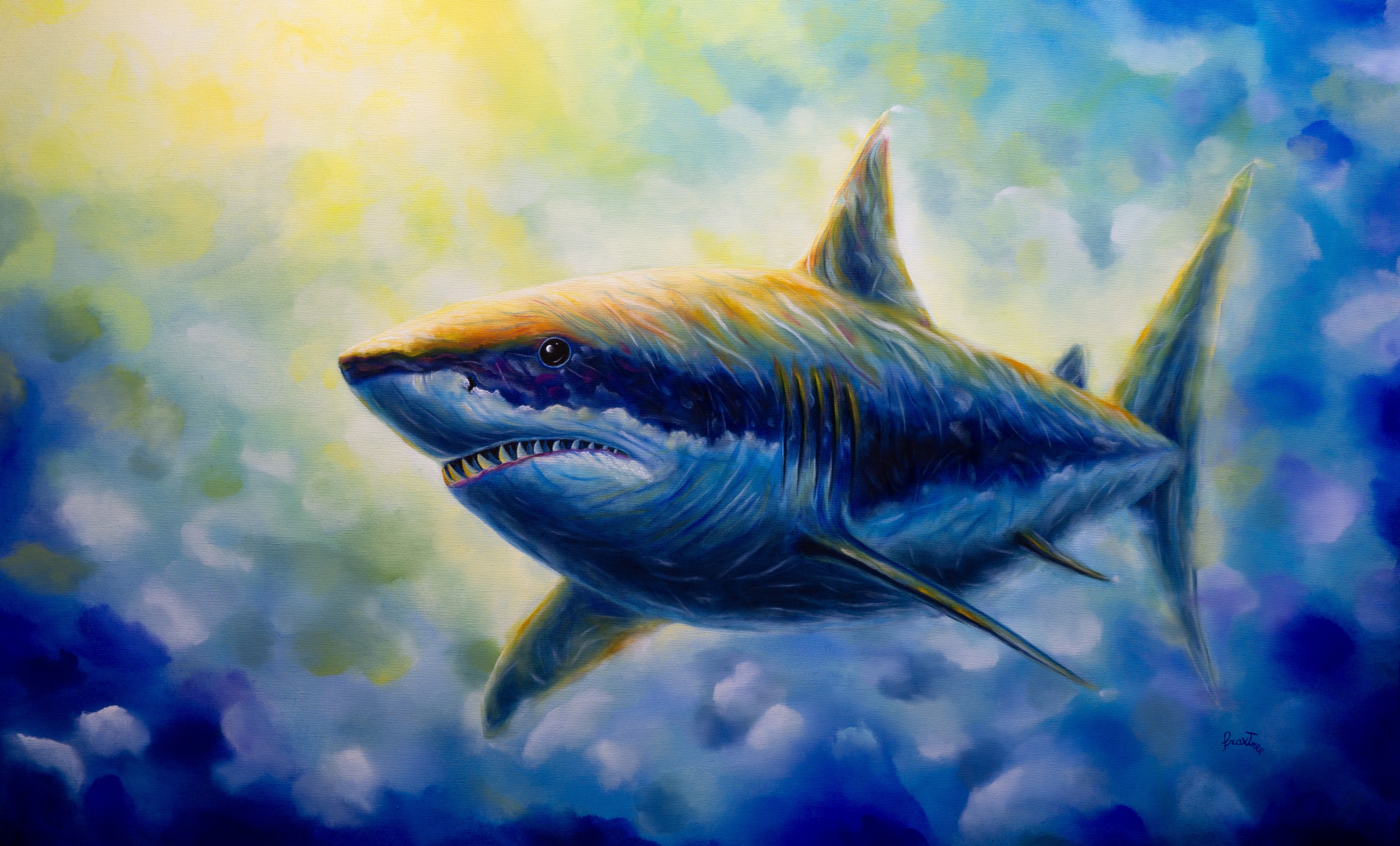 Il grande squalo bianco